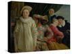 Stretched Canvas Print