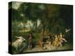 Stretched Canvas Print