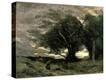 Stretched Canvas Print