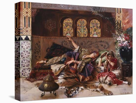 Stretched Canvas Print, , large
