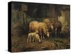 Stretched Canvas Print