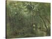 Stretched Canvas Print