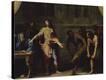 Stretched Canvas Print