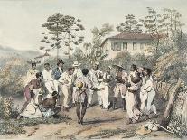 Indians Using a Fallen Tree-Trunk to Cross the Rio Paraiba Do Sul-Jean Baptiste Debret-Giclee Print