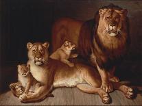 Pride of Lions-Jean-Baptiste Huet-Giclee Print