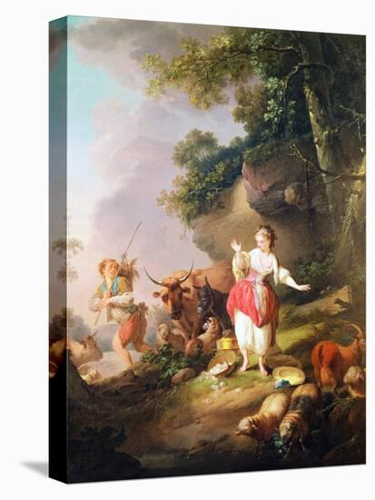 Stretched Canvas Print, , large