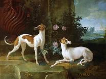 Misse and Turlu, Two Greyhounds of Louis XV-Jean-Baptiste Oudry-Giclee Print