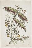 Flower Plate. Chinoiserie-Jean Baptiste Pillement-Giclee Print