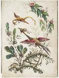 Ornament. Chinoiserie. Flowers and Birds., 1770-Jean Baptiste Pillement-Framed Giclee Print