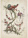 Ornament. Chinoiserie. Flowers and Birds., 1770-Jean Baptiste Pillement-Framed Giclee Print