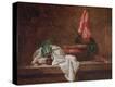 Stretched Canvas Print
