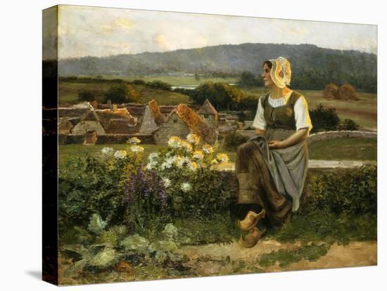 Stretched Canvas Print, , large