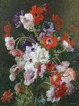 Poppies, Irises and Blossom-Jean Benner-Giclee Print