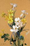 Still Life with Spring Flowers-Jean Benner-Framed Giclee Print