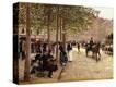 Stretched Canvas Print