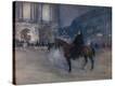Stretched Canvas Print