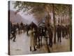 Stretched Canvas Print