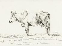 Standing Cow, Facing Left-Jean Bernard-Art Print