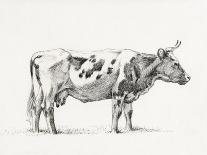 Standing Cow, Facing Left-Jean Bernard-Art Print