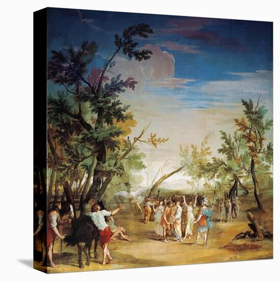 Stretched Canvas Print, , large
