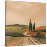 Sunny Tuscan Road-Jean Clark-Art Print