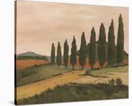 Sunny Tuscan Fields-Jean Clark-Framed Art Print