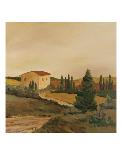 Sunny Tuscan Fields-Jean Clark-Art Print