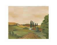 Shady Tuscan Fields-Jean Clark-Stretched Canvas