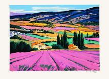 Provence : paysage des Alpilles-Jean Claude Quilici-Limited Edition