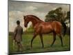 Premium Giclee Print