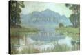 Stretched Canvas Print