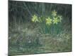 Premium Giclee Print