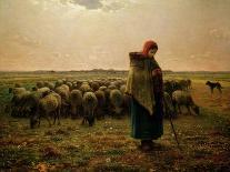 Shepherdess with Her Flock, 1863-Jean-François Millet-Giclee Print
