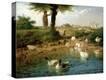Stretched Canvas Print