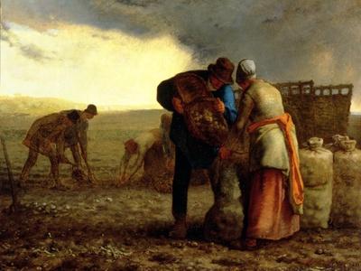 The Potato Harvest, 1855' Giclee Print - Jean-François Millet