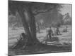 Photographic Print