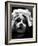 Jean Harlow-null-Framed Photo