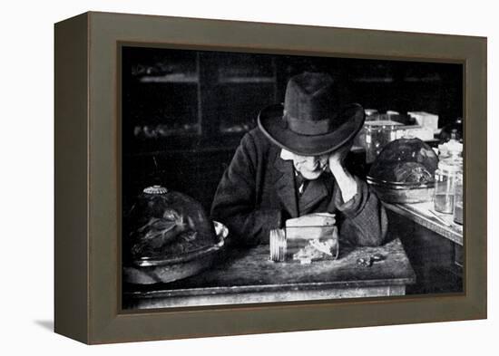 Jean-Henri Fabre, French Entomologist, C Early 20th Century-null-Framed Premier Image Canvas