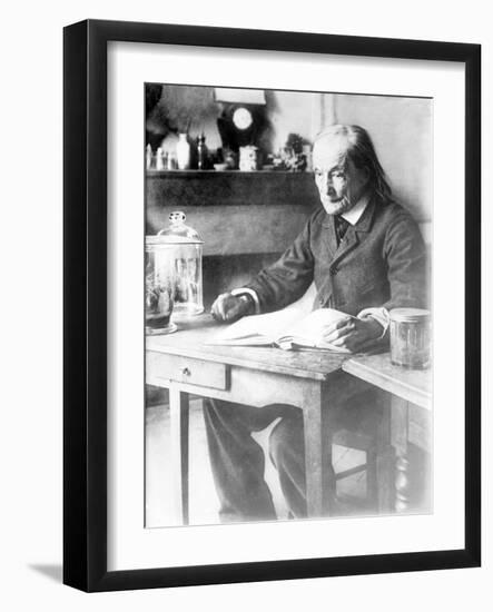 Jean-Henri Fabre, French Entomologist-Science Source-Framed Giclee Print