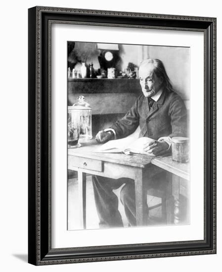 Jean-Henri Fabre, French Entomologist-Science Source-Framed Giclee Print