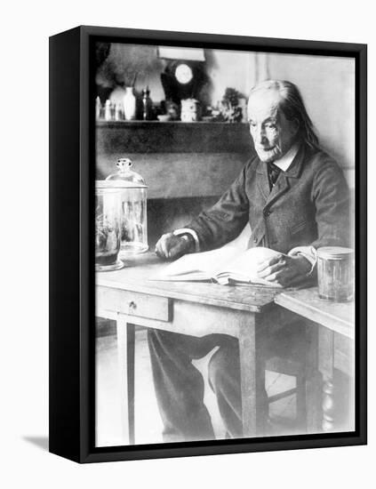 Jean-Henri Fabre, French Entomologist-Science Source-Framed Premier Image Canvas