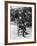 Jean Henri Fabre-null-Framed Photographic Print