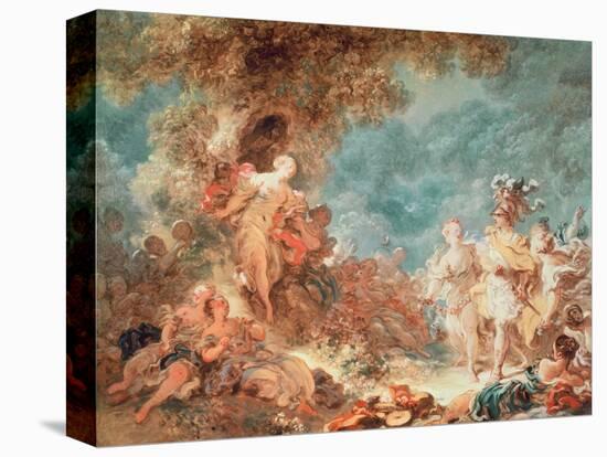 Stretched Canvas Print, , large