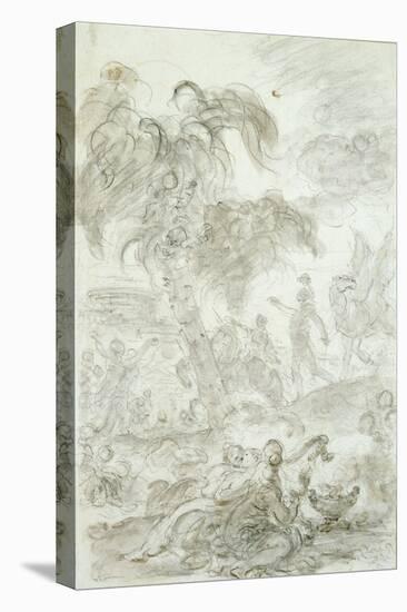 Stretched Canvas Print, , large