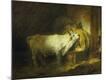 Premium Giclee Print