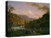 Stretched Canvas Print