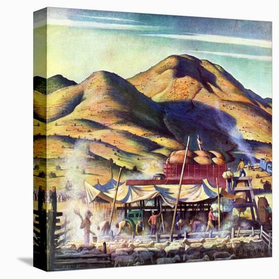 Stretched Canvas Print, , large