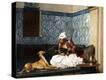 Stretched Canvas Print