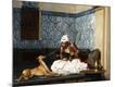 Premium Giclee Print