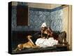 Stretched Canvas Print